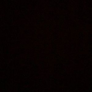 Meet your Posher, Dina